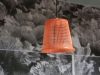 asd010